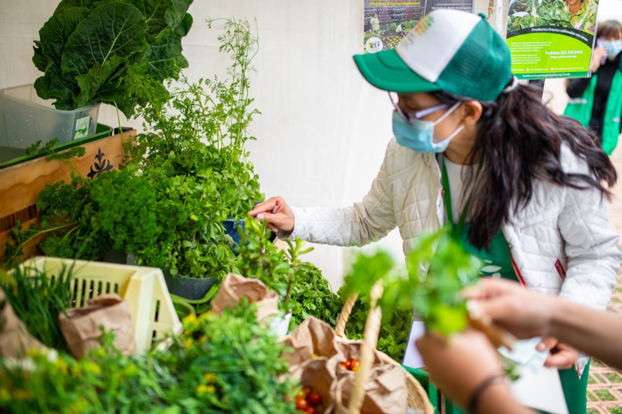 Los asistentes encontrarán hortalizas, verduras, frutas, plantas medicinales, aromáticas condimentarias y ornamentales, leguminosas y alimentos transformados como miel, pesto, jaleas naturales y polen; también productos asociados a la práctica de la agricultura urbana como semillas, plántulas y abono orgánico. Por su parte, los productores campesinos rurales ofrecerán tubérculos, frutas, verduras, huevos y procesados como lácteos, café, amasijos y panela.