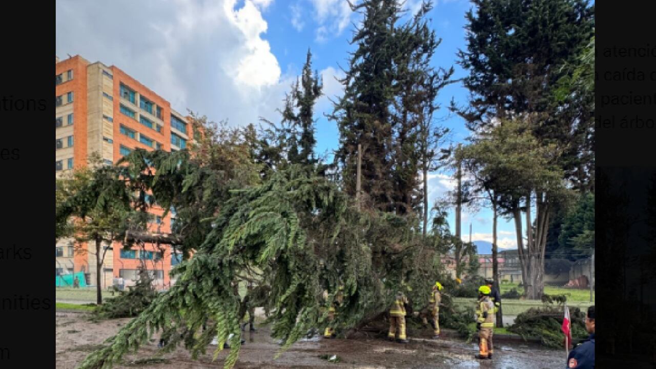 Imagen del árbol caído compartida por Bomberos de Bogotá.