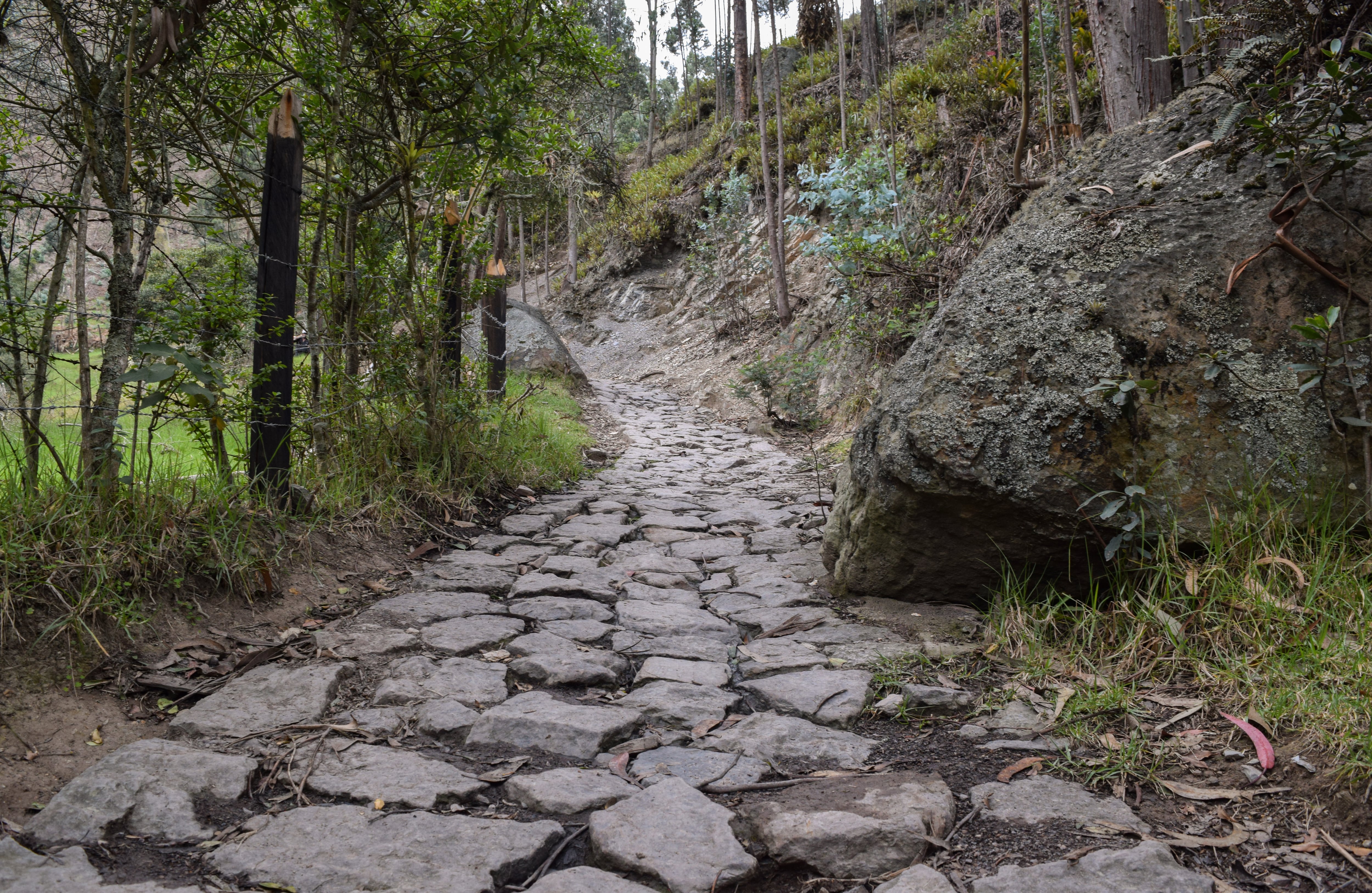 El Camino Real, una de las rutas para llegar a la cima, “era utilizado por los indígenas para el intercambio comercial entre la provincia de Sabana Centro y la del valle de Ubaté”, explica Guillermo Bernal, promotor turístico y gestor cultural en la región. Cuando llegaron los españoles el camino se intervino con piedras y en 1781 fue utilizado por la Ruta Comunera  - Ronald Mauricio Pinzón Prada - Prensa Sutatausa