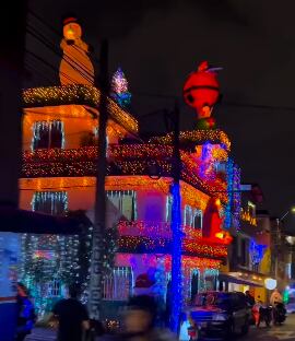 Foto: Instagram @zippytour13