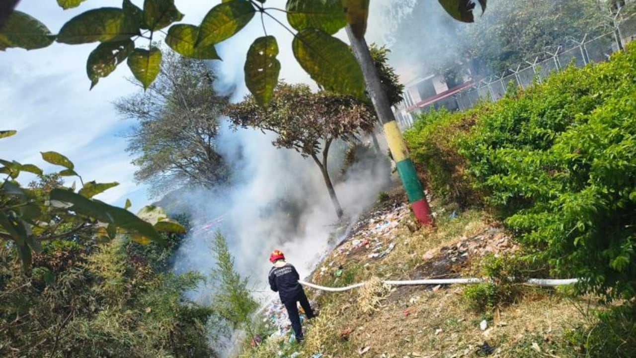Los organismos de emergencia concentran sus esfuerzos para controlar las llamas y proteger a las comunidades.