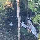 Las Fuerzas Militares adelantan la operación.