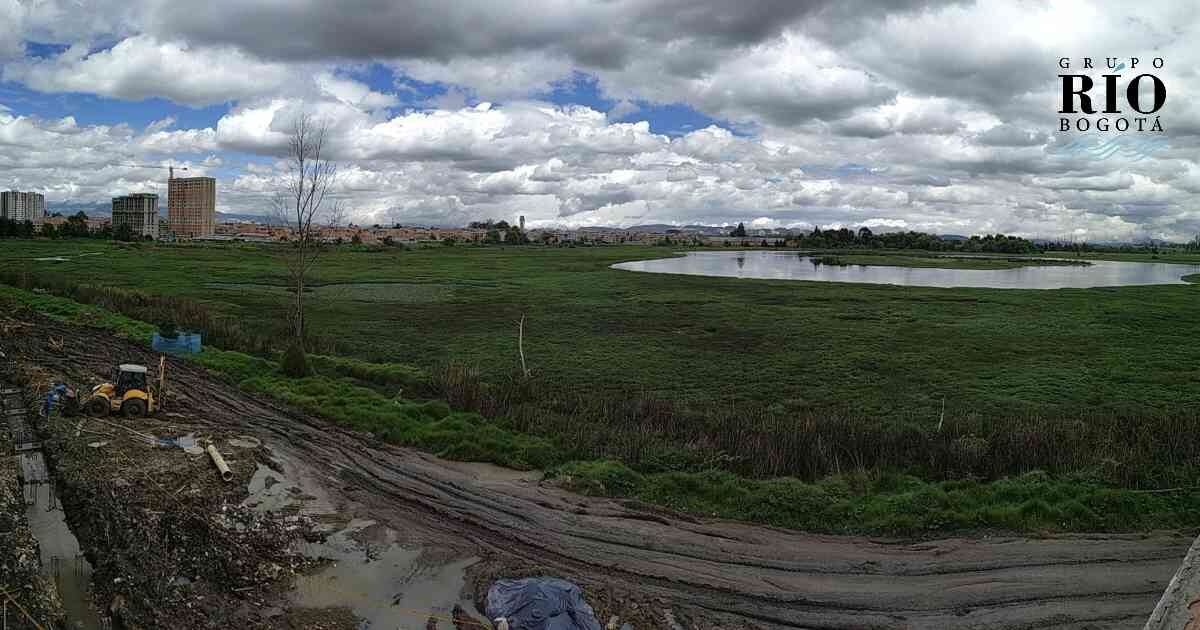 Frenan obras en el humedal Jaboque