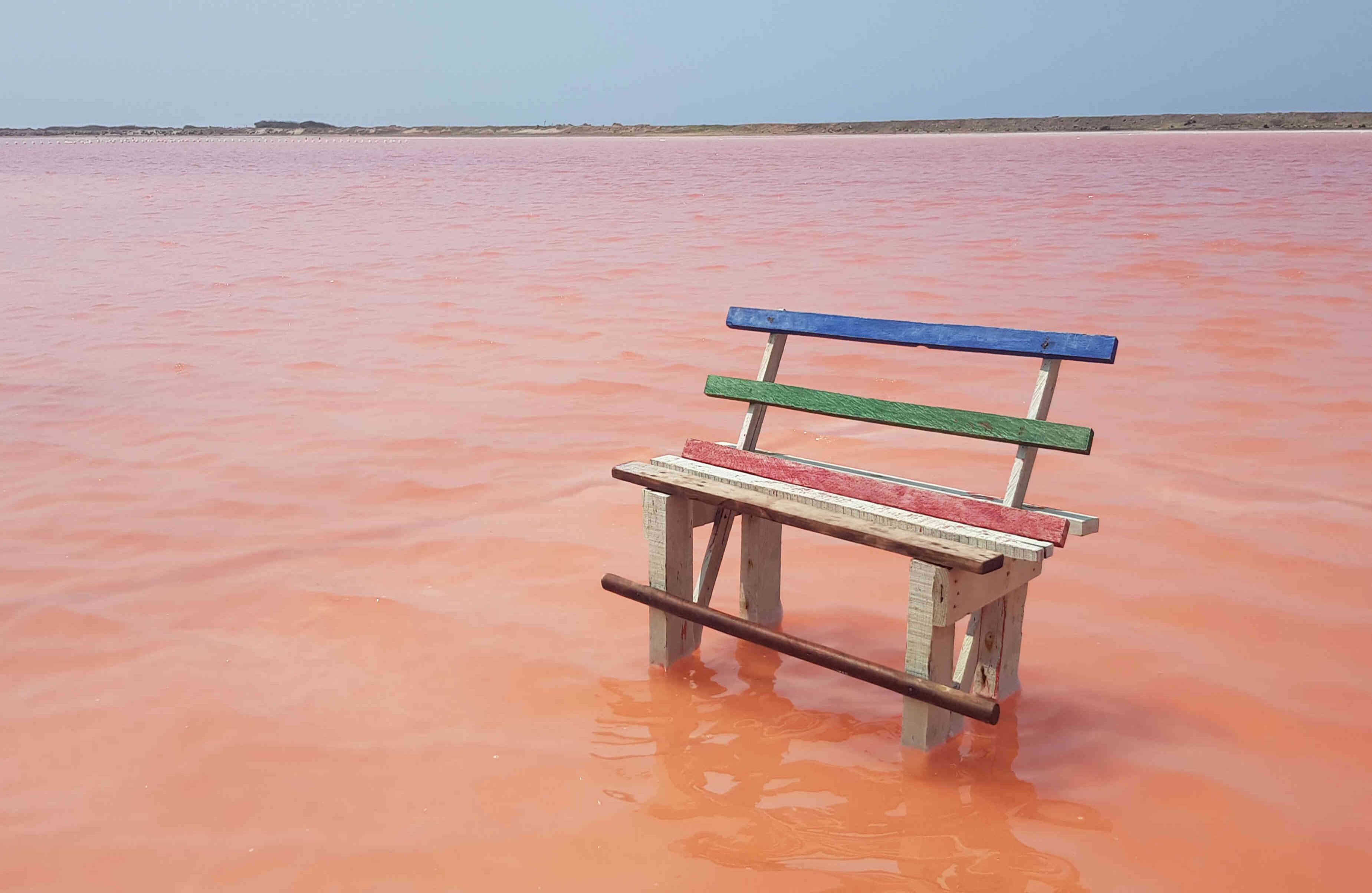 Las salinas del corregimiento de Galerazamba (Santa Catalina, Bolívar), localizadas a una hora de camino de Cartagena y otro tanto desde Barranquilla, se han convertido en el destino de moda en el Caribe colombiano por el fascinante tono rosa de las aguas de las charcas de donde se extrae la sal.
