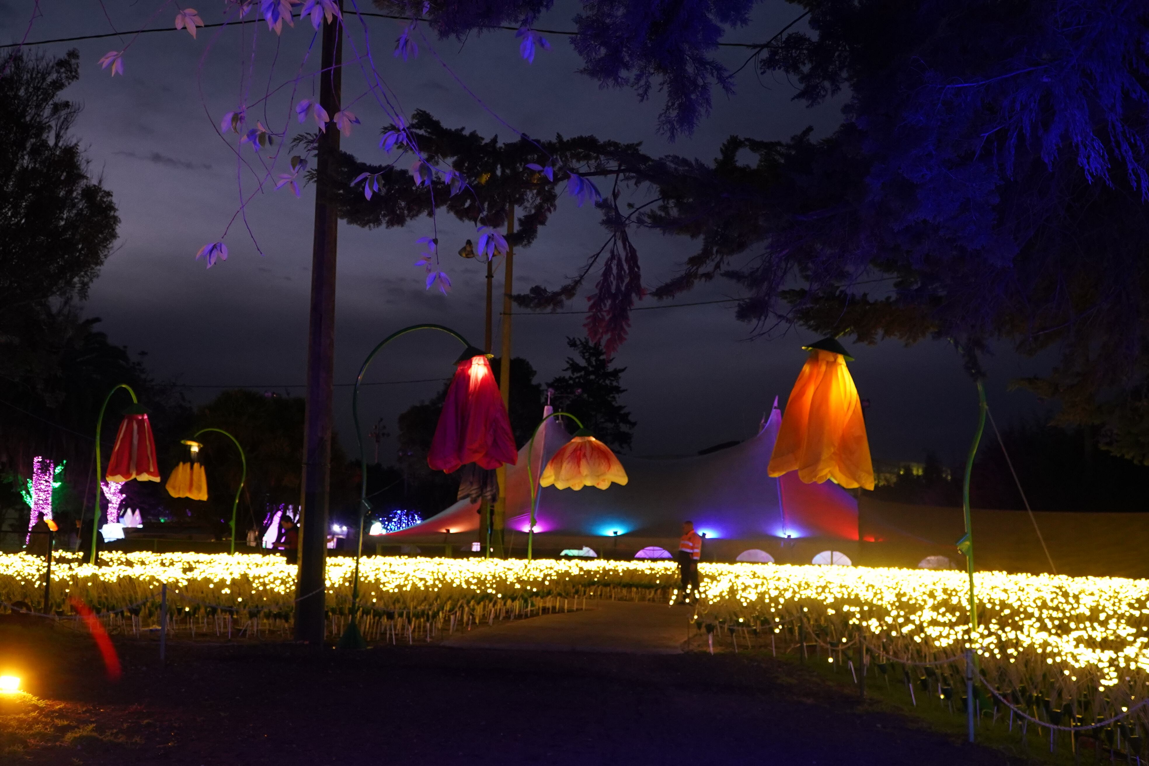 Brilla Sueños es una invitación para que los asistentes exploren su mundo interior, conecten con su imaginación y celebren sus recuerdos.