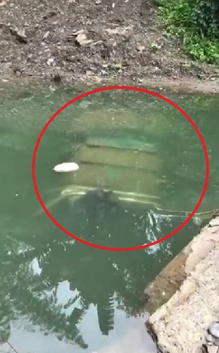 La trágica historia de una pareja de esposos que murió en medio de un accidente en Cundinamarca.