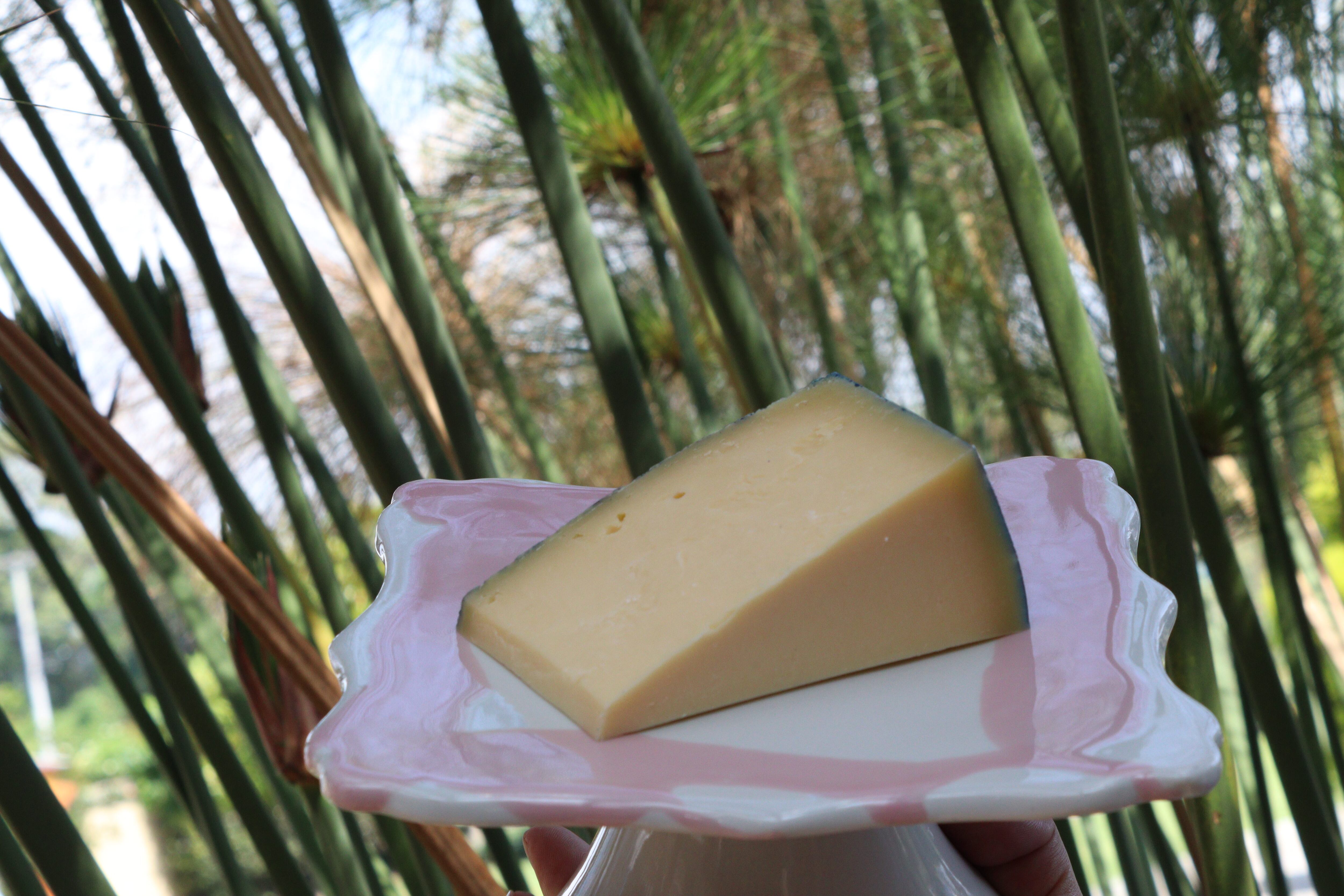 Festival del Queso en Sopó