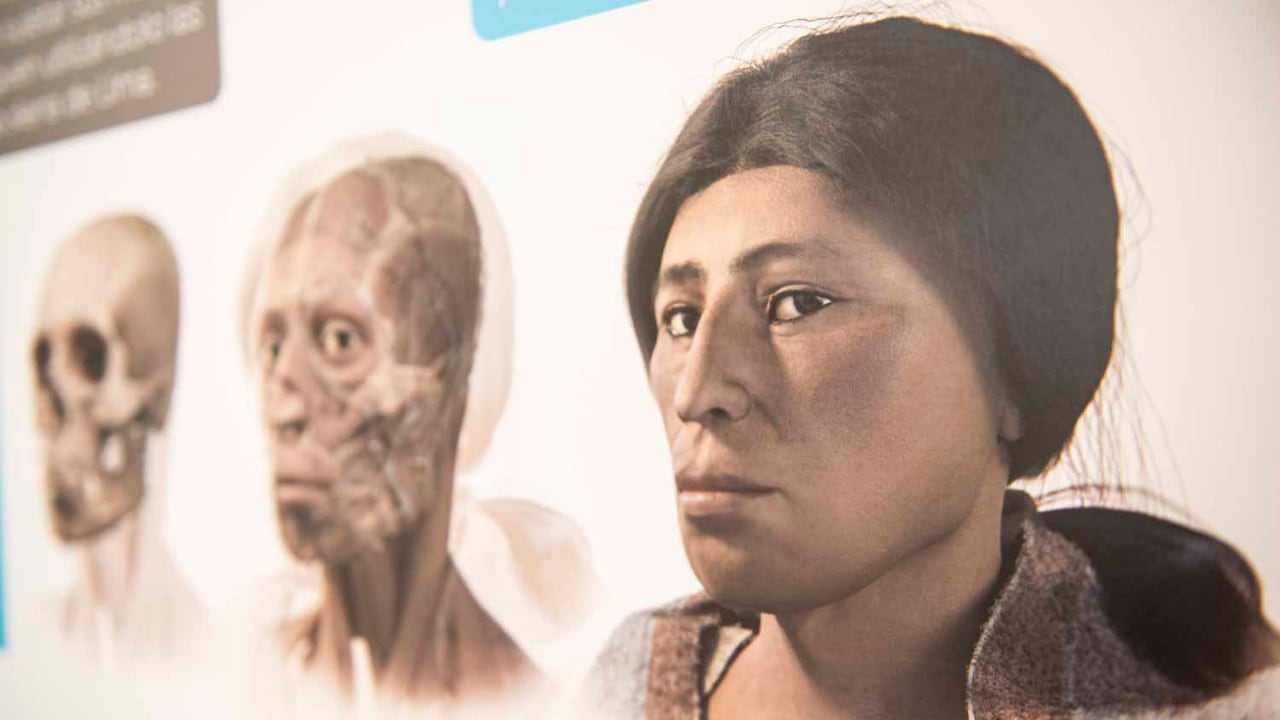 A digital reconstruction of the face of an ancient human skeleton, which was unearthed from a crib-like tomb discovered by a crew laying a natural gas pipe under a street in the San Juan de Lurigancho district, is displayed in a community center in Lima, on November 27, 2020. - A mummified woman in her early twenties who lived over 600 years ago was called "Wayaw, the Lady of El Sauce", for the area where she was found. According to specialists, the woman lived in the times of the Ruricancho chiefdom, under the administration control of the Inca empire. (Photo by ERNESTO BENAVIDES / AFP)