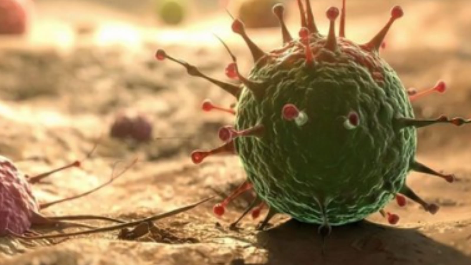 Autoridades sanitarias refuerzan la vigilancia tras confirmarse cinco casos del virus Nipah en India, una infección zoonótica de alta letalidad que mantiene en alerta a la OMS.