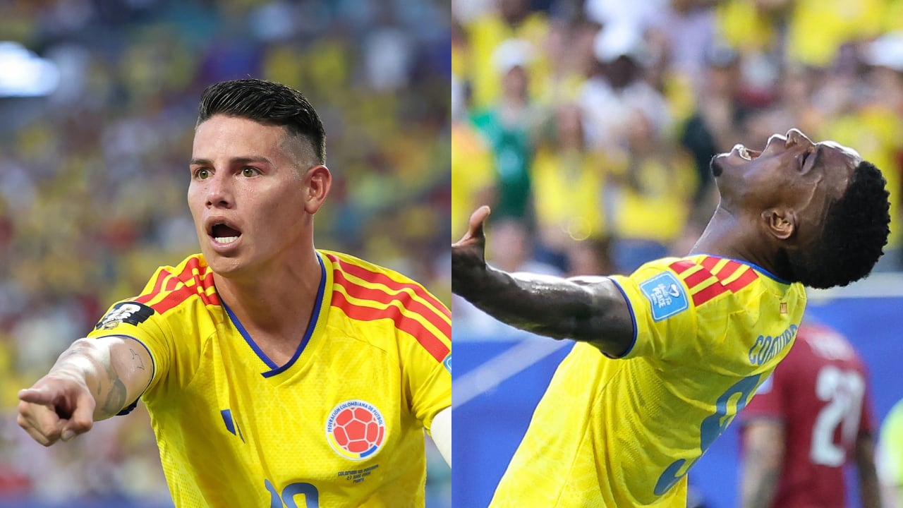 Una cifra en ataque preocupa a la Selección Colombia.