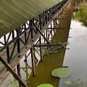 Reserva Natural Victoria Regia