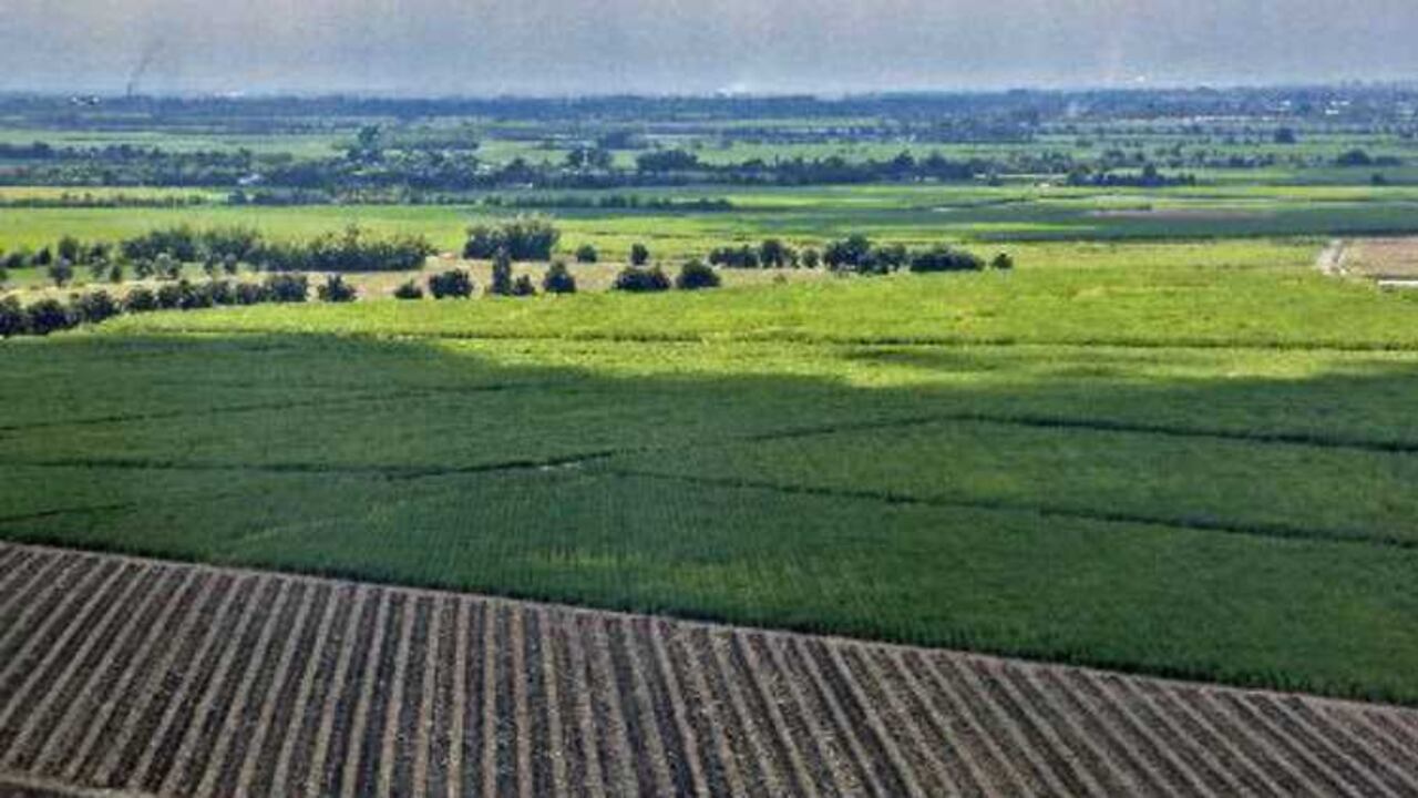 La desaceleración económica de Colombia está comenzando a afectar la capacidad de pago de créditos de firmas en los sectores agropecuario, agricultura y transporte, que han aumentado los indicadores de riesgo en los últimos meses.