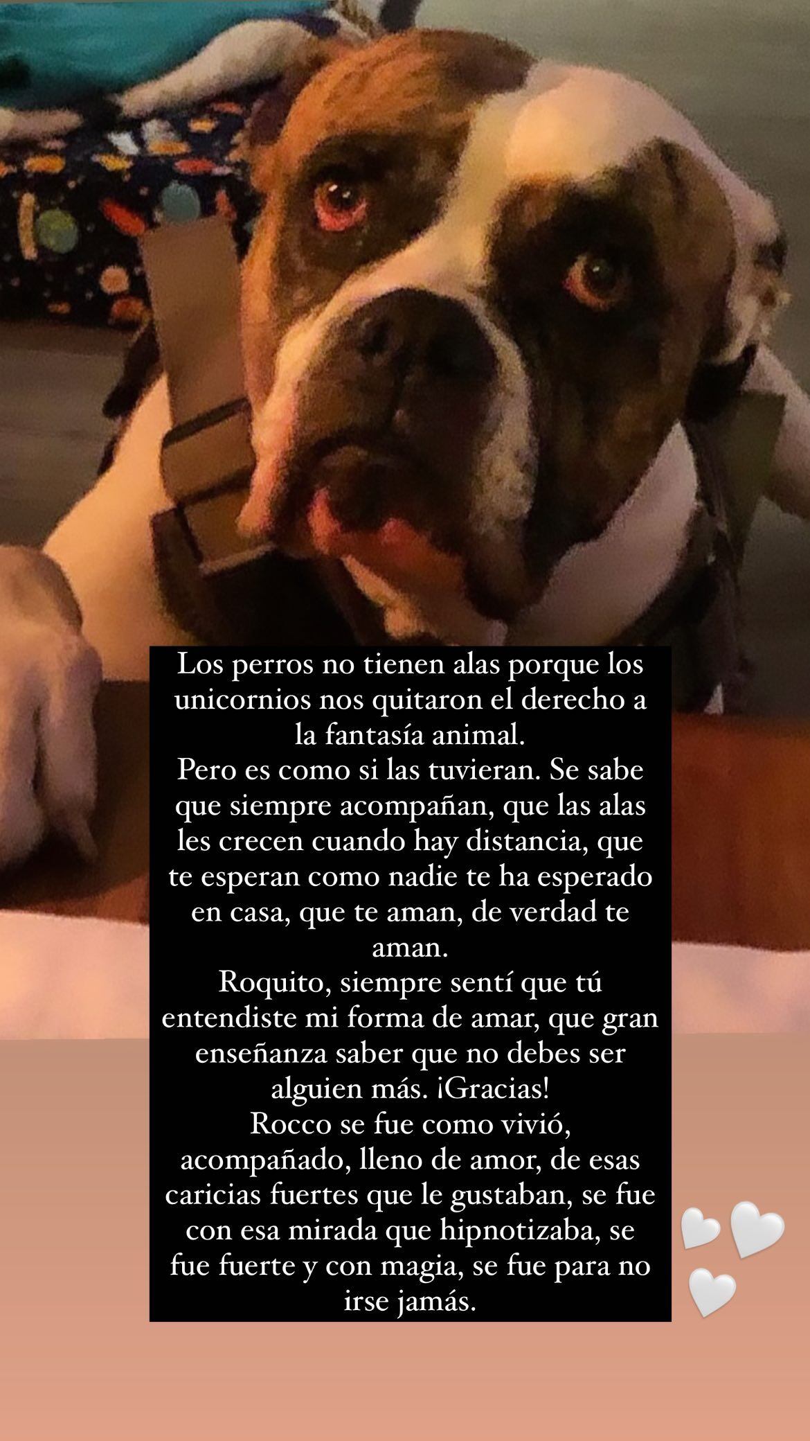 Foto: Instagram @lauraarchbold.