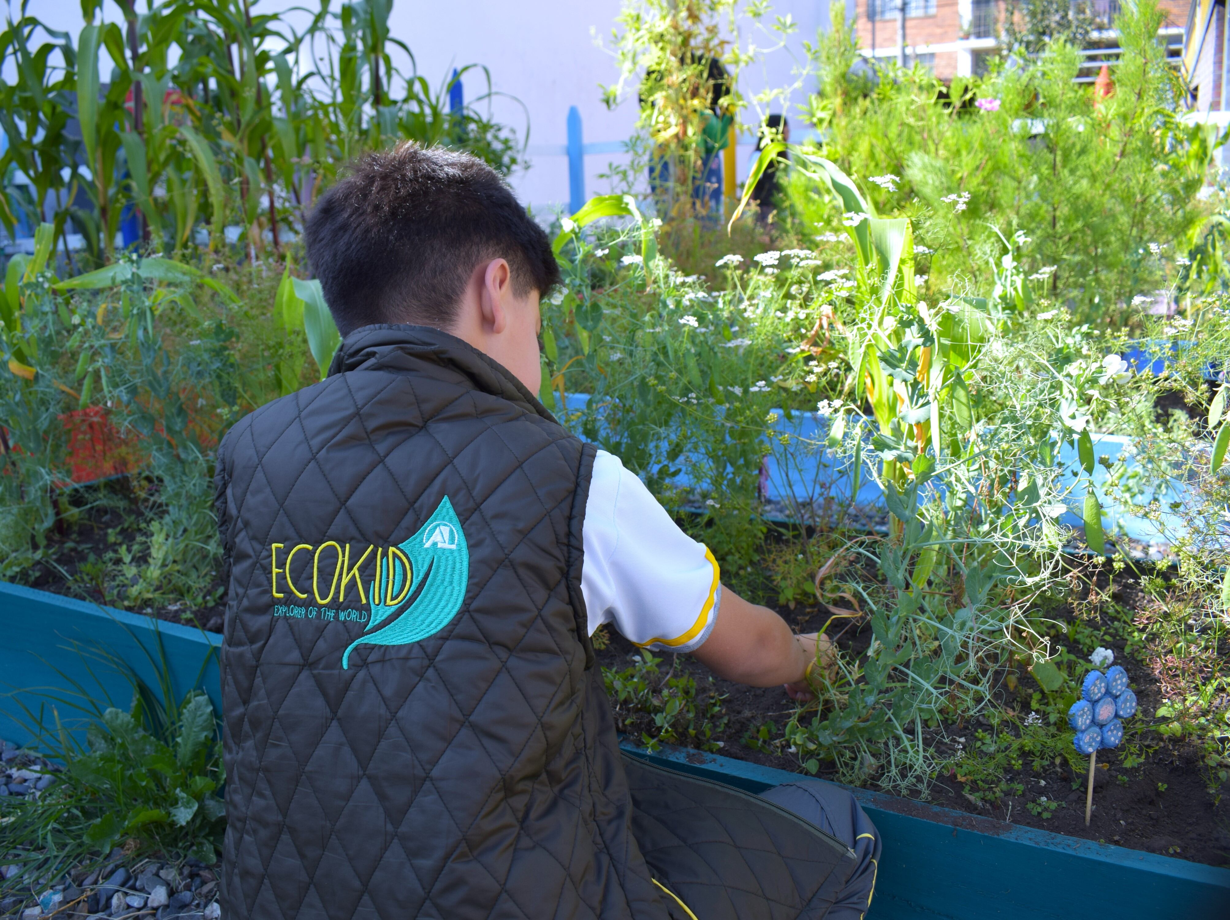 El Colegio Abraham Lincoln ofrece modelos educativos que le apuestan a la sostenibilidad.