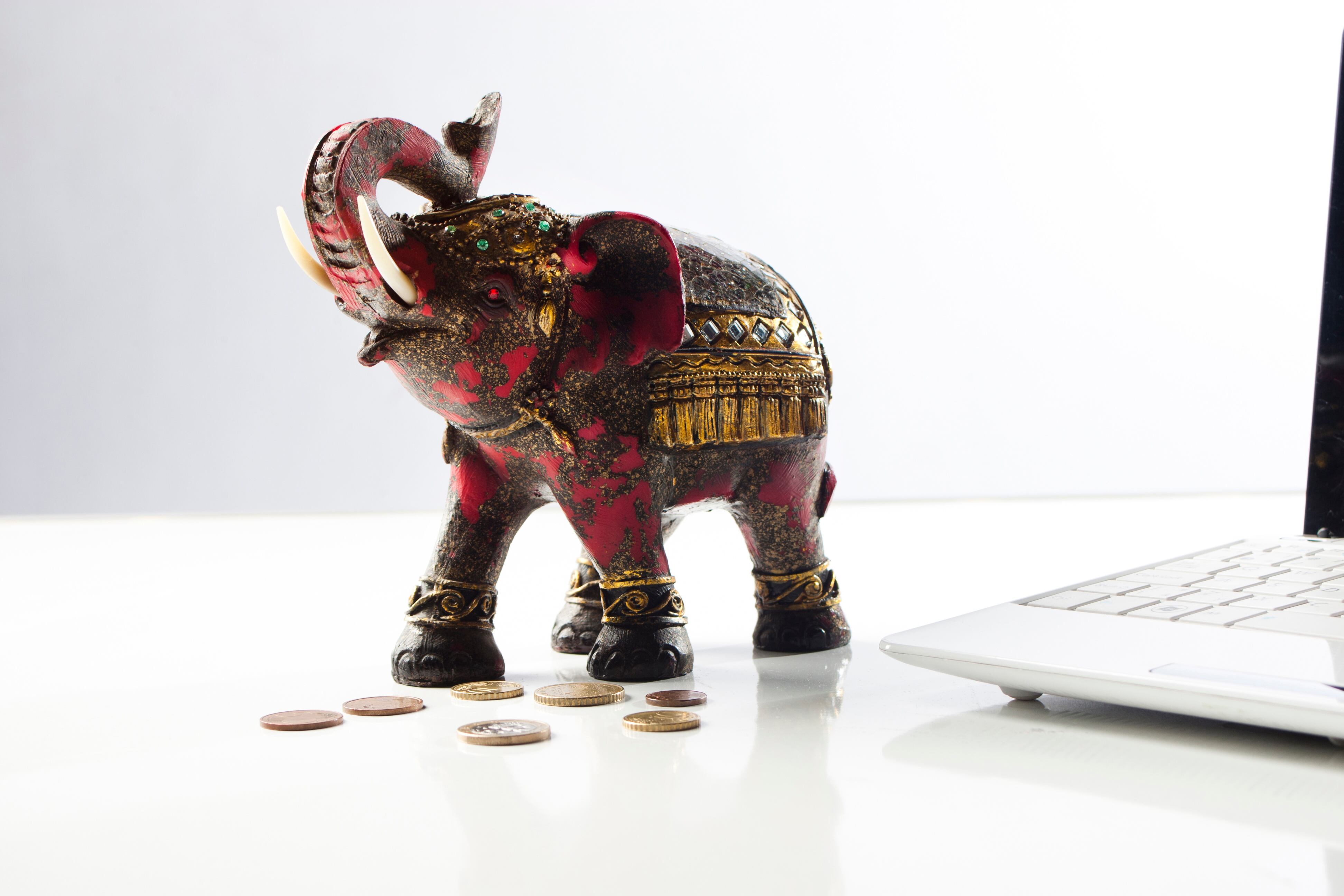 Este animal a menudo es usado para atraer la buena energía.