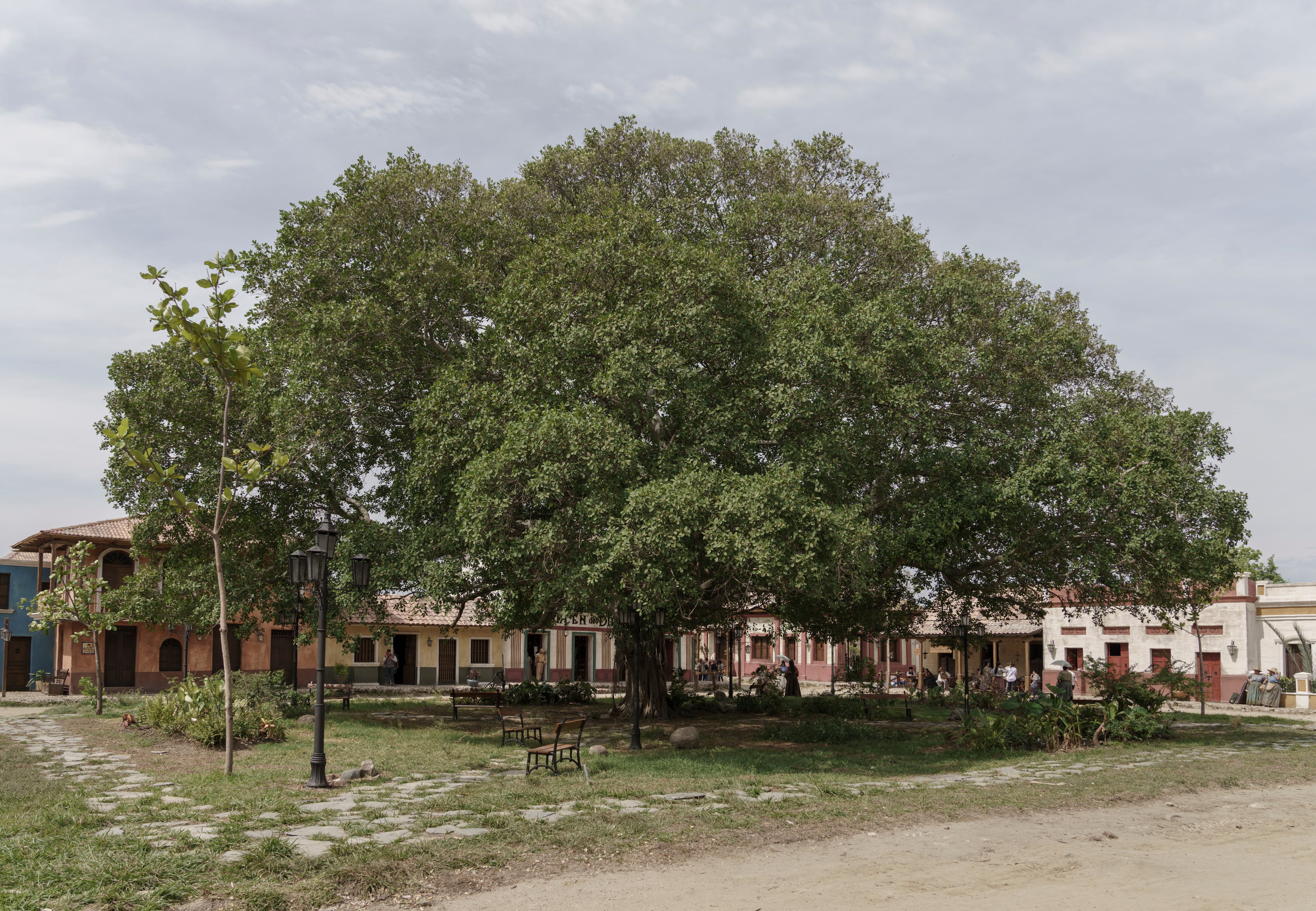 El Macondo que Netflix construyó para Cien años de soledad, de Gabriel García Márquez / Cien Años de Soledad. Cr. El Departamento / Netflix ©2024