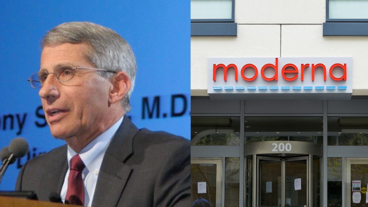 Fauci y vacuna Moderna