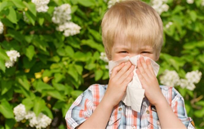 Las alergias son un mecanismo de defensa ante el medio exterior. (Foto: Thinkstock)