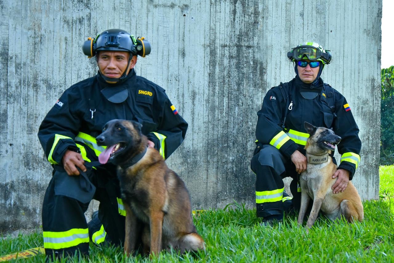 Este equipo cuenta con decenas de personas especializadas en la búsqueda y rescate de civiles, además, cuatro caninos apoyan las labores.