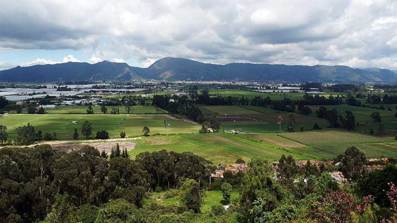La reserva Thomas van der Hammen es una de las prioridades de protección ambiental de la actual administración del Distrito.