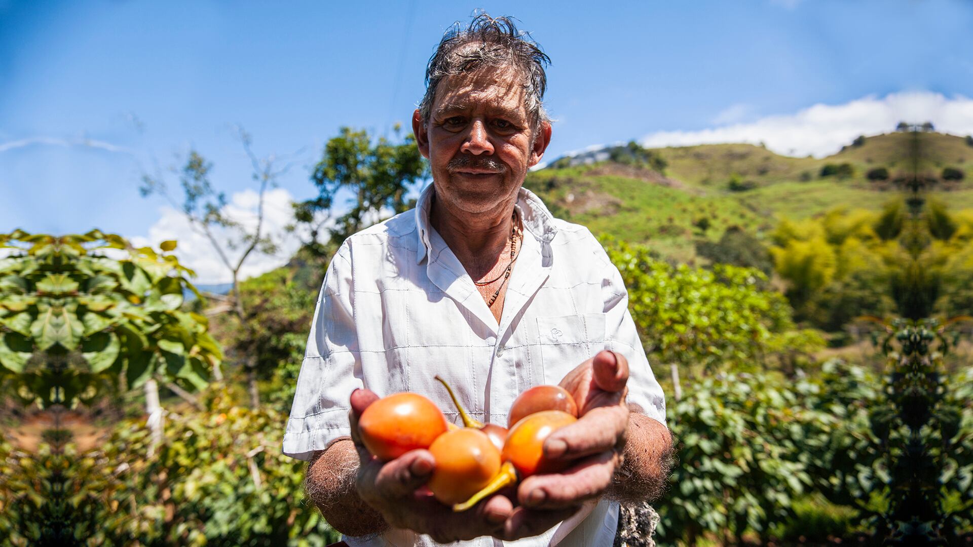 El otorgamiento de préstamos del Banco Agrario se hace con base en un proyecto y no en su capacidad de pago del solicitante en ese momento.