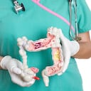 ¿Cómo mantener un colon saludable? Estas son las recomendaciones que hacen expertos