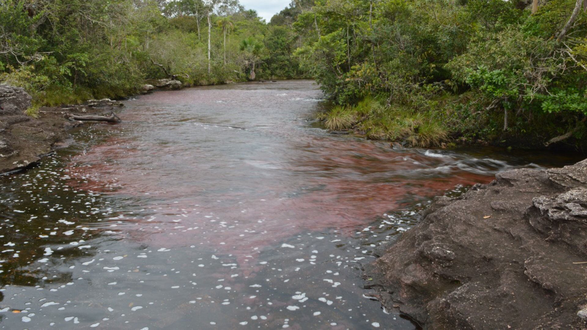 Caño Cristales