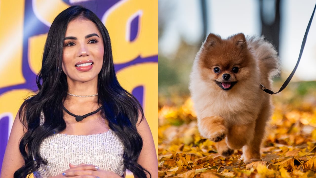 Karina García generó comentarios al hablar de su mascota.
