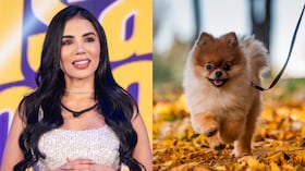 Karina García generó comentarios al hablar de su mascota.