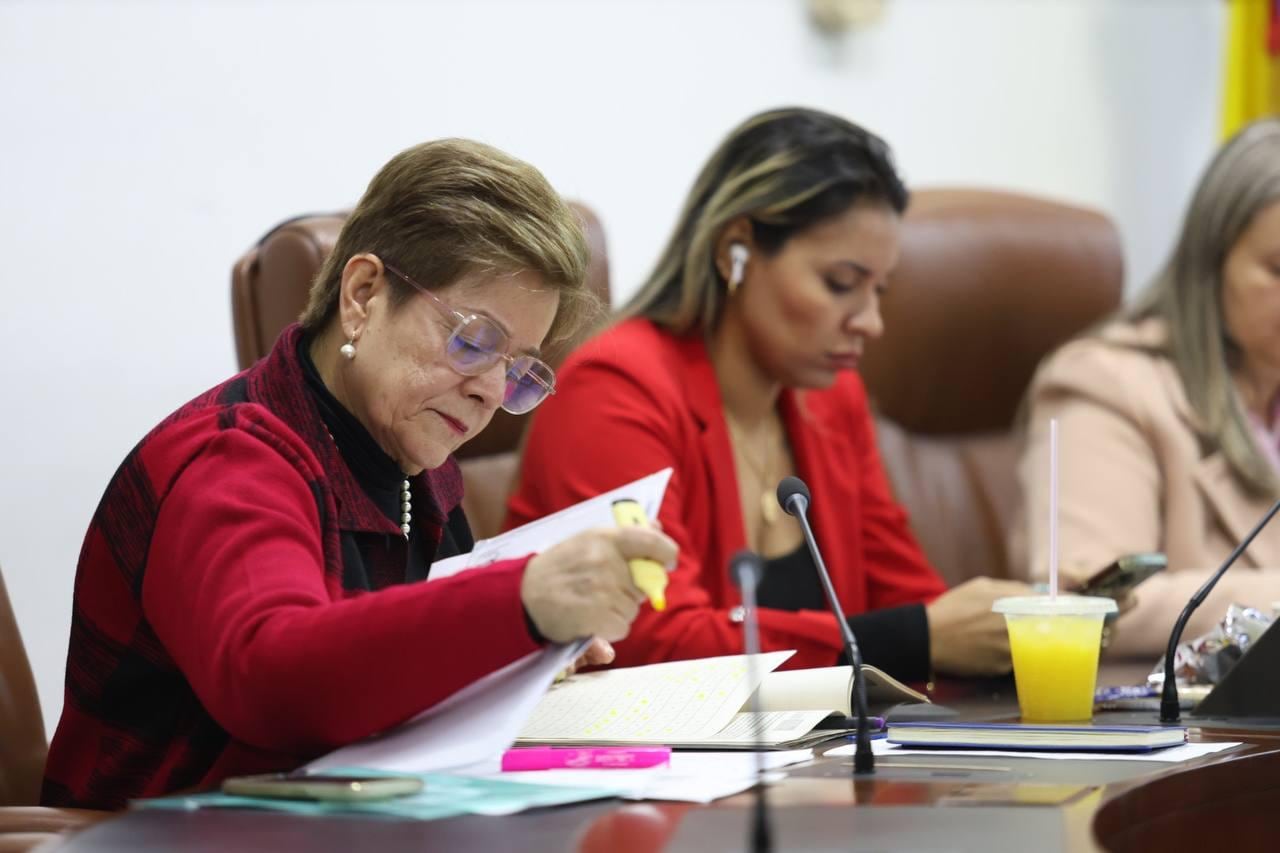 La mitad del articulado del proyecto ya fue aprobado.