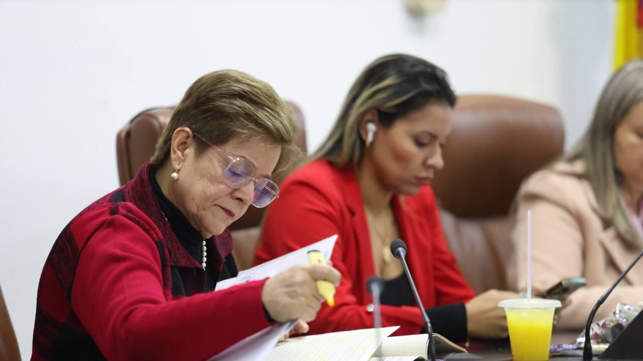 La mitad del articulado del proyecto ya fue aprobado.