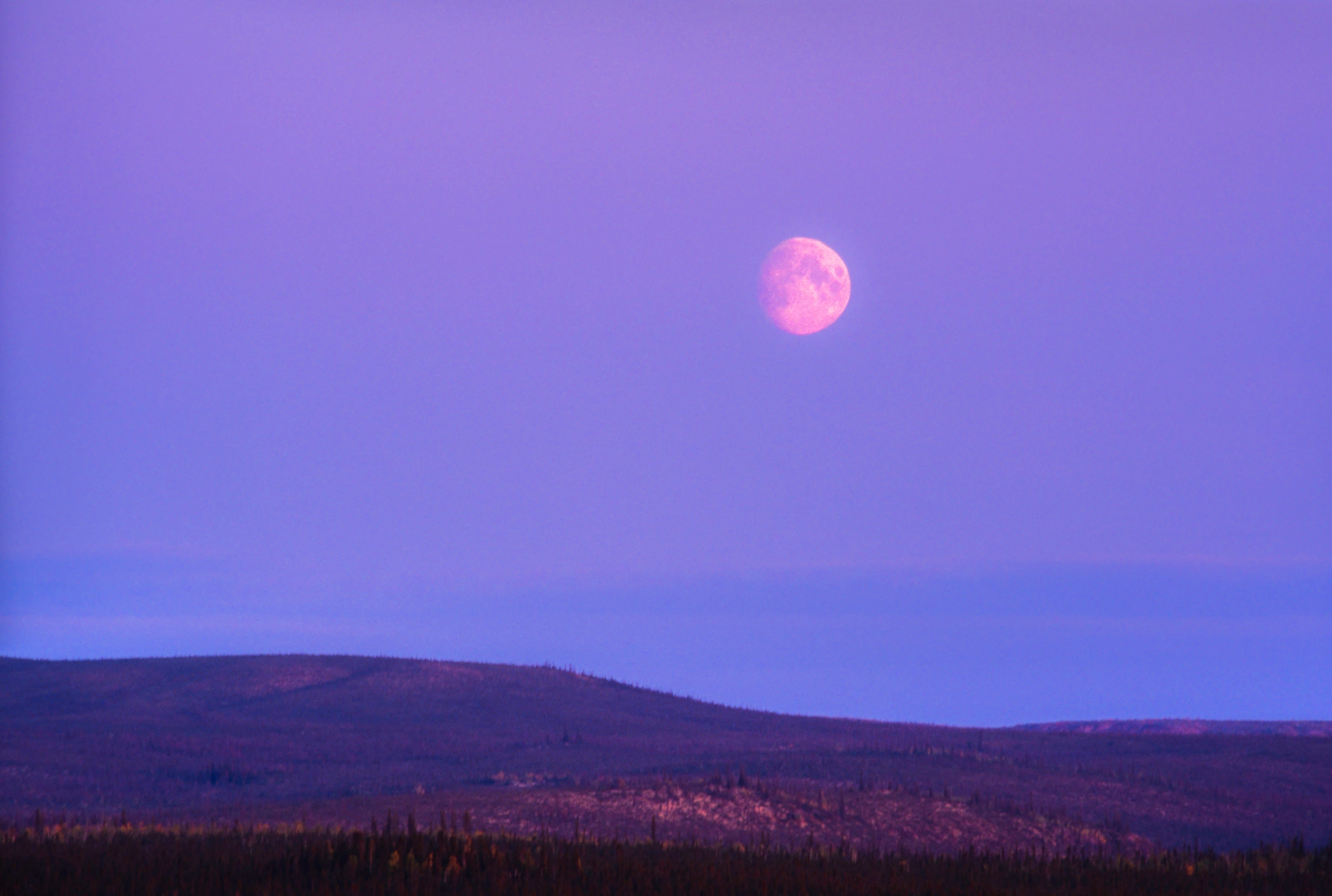La luna rosa se podrá ver en Colombia sin necesidad de telescopio