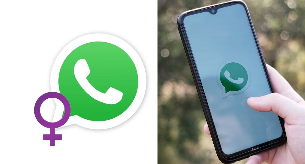 Modo día de la muejer en WhatsApp