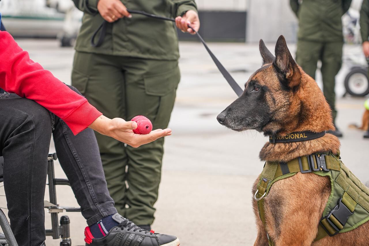 El perro Telmo se reencontró con su guía, el patrullero Diego Herrera.