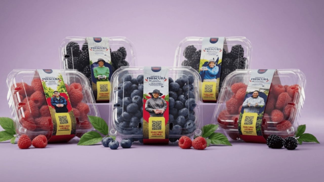 La cadena de valor integra cultivo, distribución y comercialización.