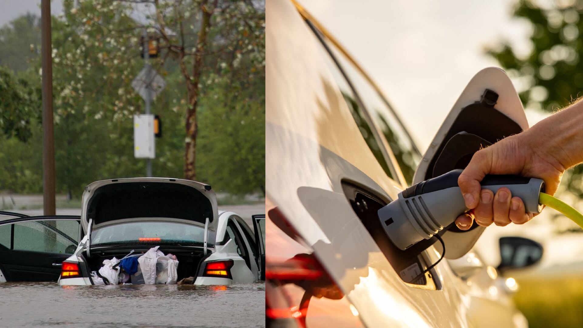 Muchas personas se pregunta, ante la inminente llegada del huracán Hamilton, que se debe hacer con un carro eléctrico en medio de las lluvias o inundaciones.