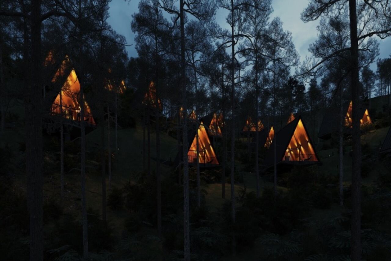 Con 15 millones de dólares se desarrollará el primer bosque de hospitality en el mundo: Nido de agua un proyecto que transformará Guatapé