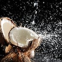 El líquido se encuentra rodeado por una cáscara gruesa con una capa externa parecida al cuero e impermeable