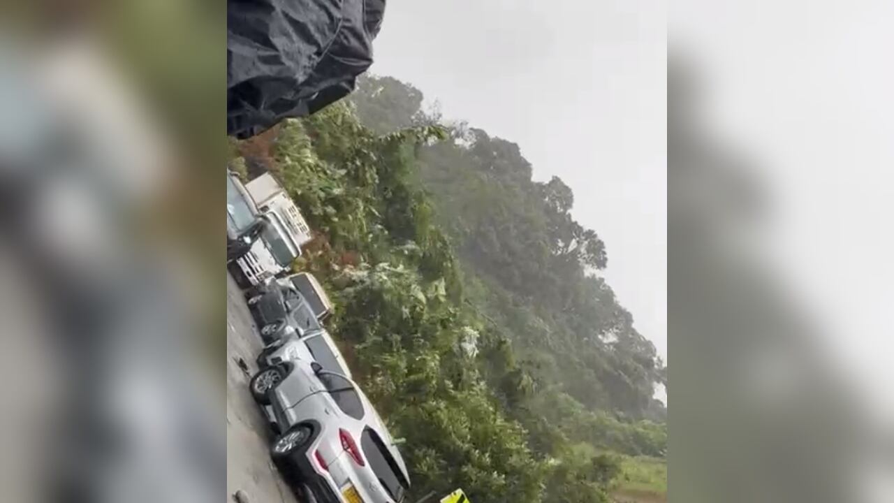 El momento quedó registrado en un impresionante video.