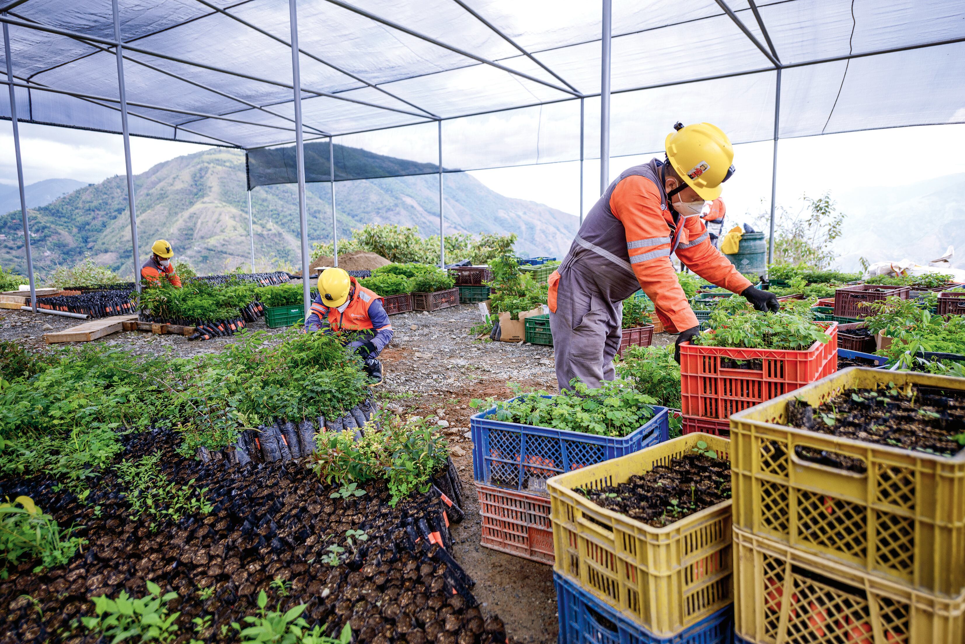 Después de la llegada de la empresa china Zijin-Continental Gold, en marzo de 2020, son innumerables los aportes al desarrollo de Buriticá y el occidente antioqueño.