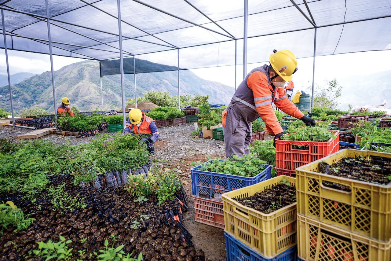 Después de la llegada de la empresa china Zijin-Continental Gold, en marzo de 2020, son innumerables los aportes al desarrollo de Buriticá y el occidente antioqueño.