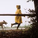 Señales de fidelidad de un perro.