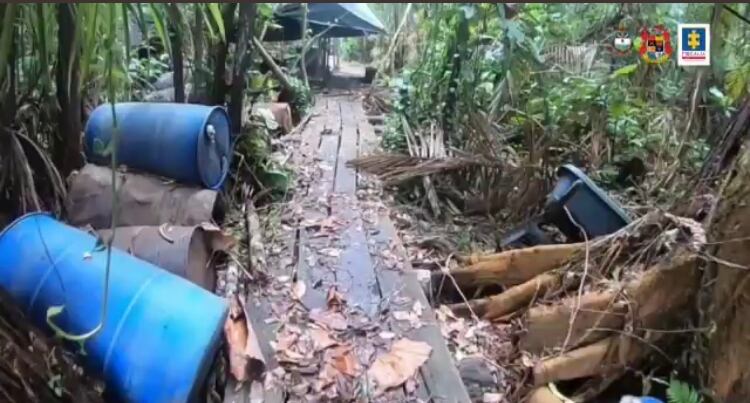 Descubren laboratorios de cocaína en parque natural de Sanquianga, Nariño