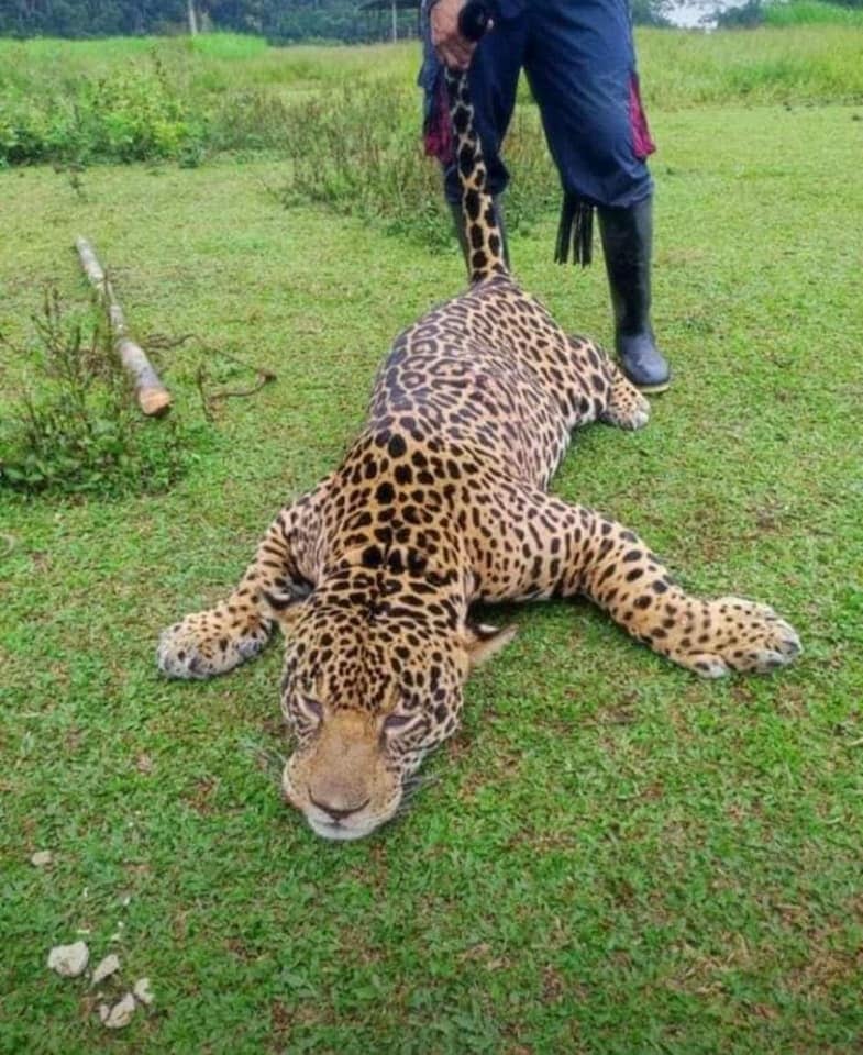 La comunidad pide respuesta de las autoridades.