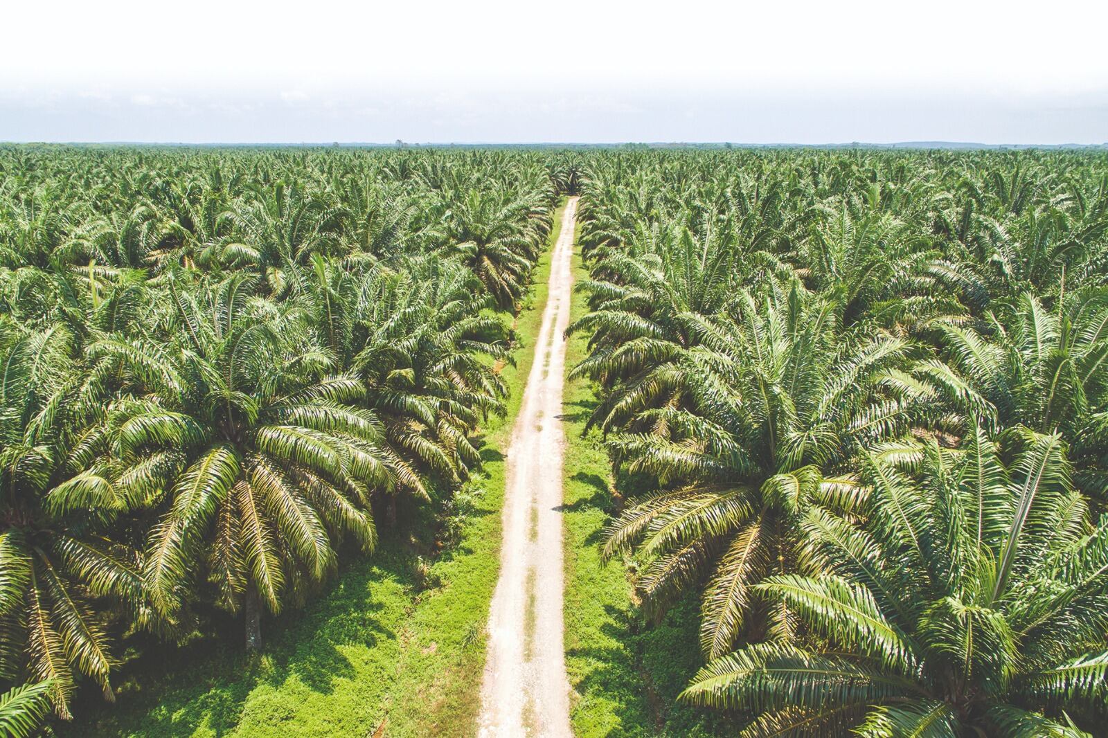 Colombia se prepara para recibir la IV Conferencia Internacional de Biocombustibles