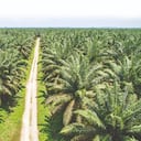 El evento busca ampliar el debate sobre el aporte del sector en la transición energética que busca el país