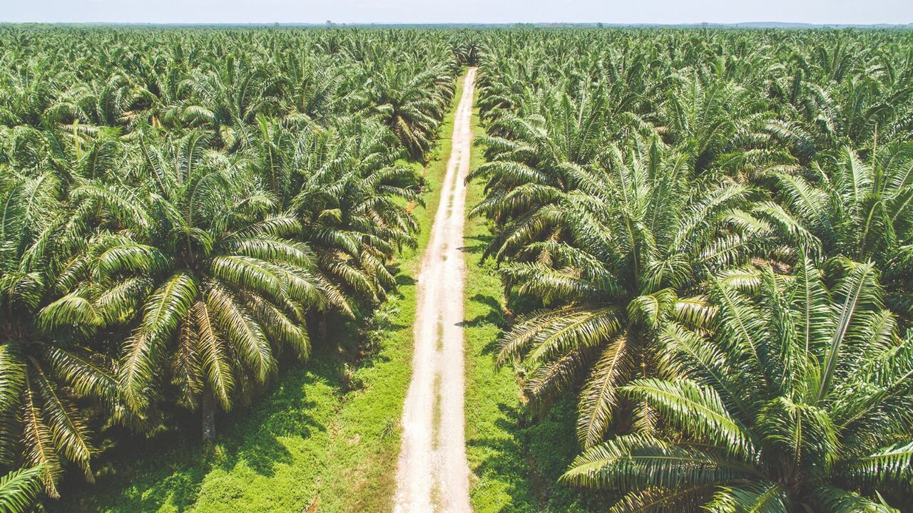 El evento busca ampliar el debate sobre el aporte del sector en la transición energética que busca el país