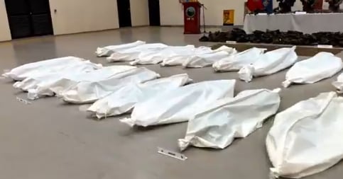 Disidentes muertos tras bombardeo de las Fuerzas Militares.
