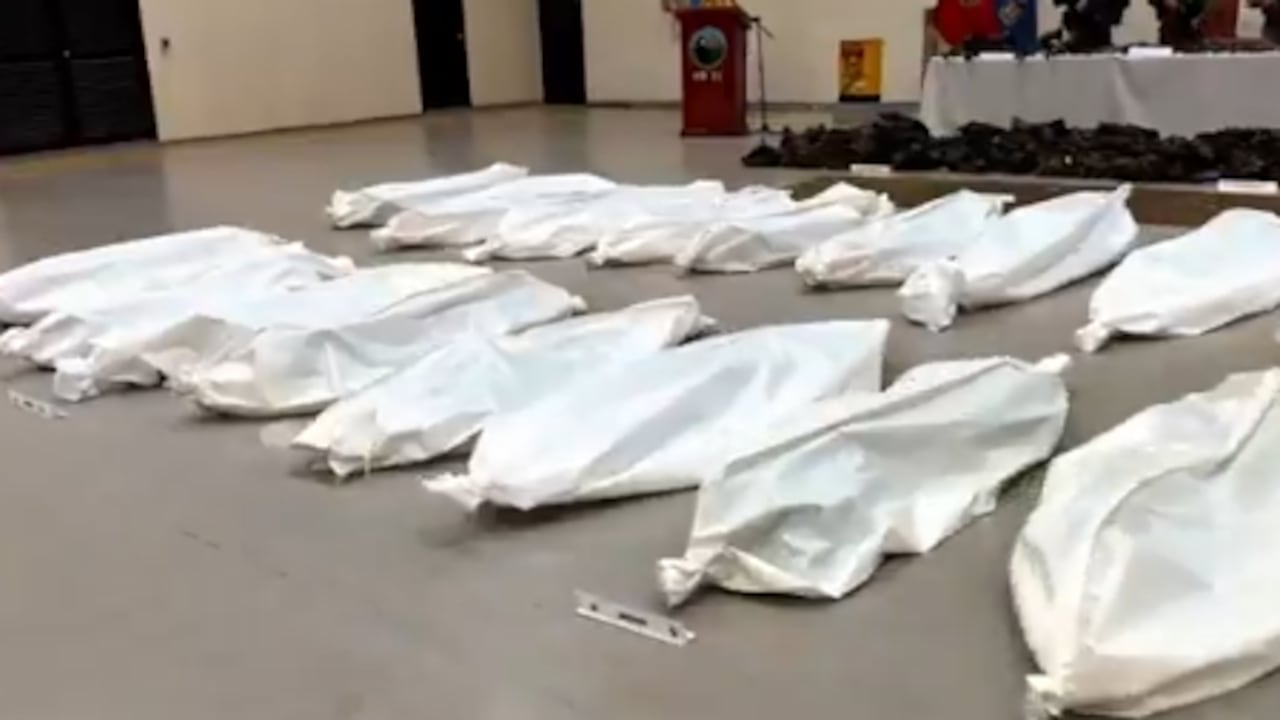 Disidentes muertos tras bombardeo de las Fuerzas Militares.