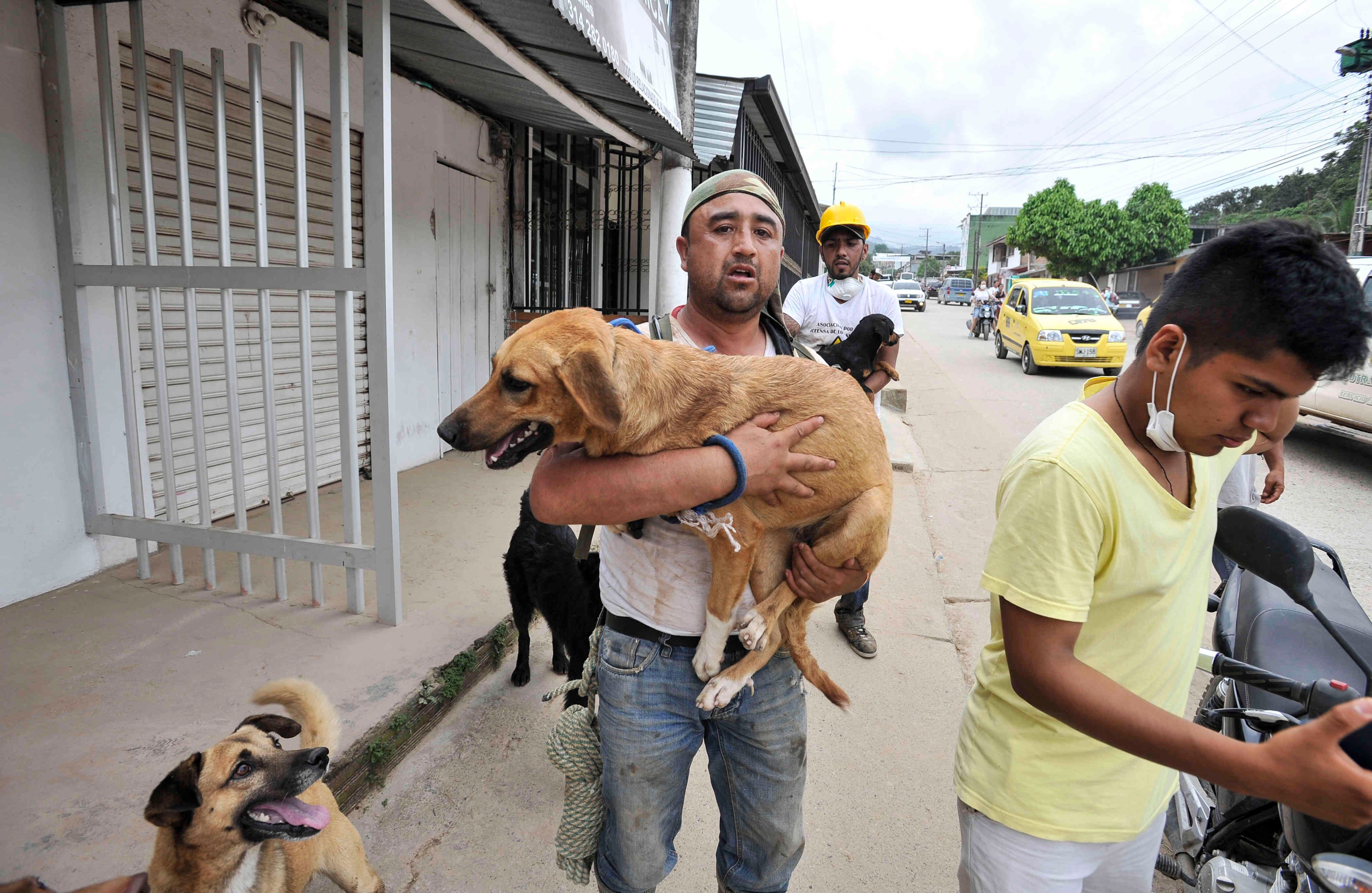 Un miembros de la Asociación por la Defensa de los Animales, Zona Animal Pasto, carga un perro tras  rescatarlo el miércoles 5 de abril de 2017, en un refugio provisional en Mocoa, Putumayo, luego de que una avalancha de lodo y piedra —la noche del 31 de marzo— provocada por el desbordamiento de los ríos Mocoa, Mulato y Sangoyaco, matara a por lo menos 301 personas y dejara un número indeterminado de desaparecidos. Foto: Carlos Julio Martínez / SEMANA